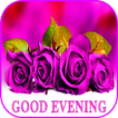 Good evening messages and images Gif