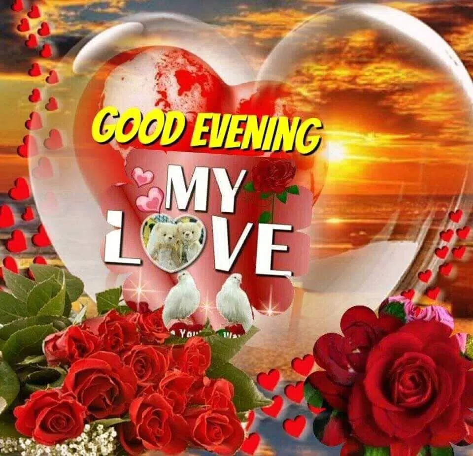 Good evening images Gif - Evening wishes & quotes APK per Android ...