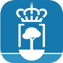 Ayuntamiento de O Pino APK