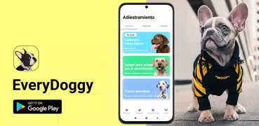 EveryDoggy－entrenamiento perro