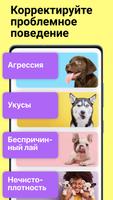 Дрессировка и воспитание собак скриншот 3