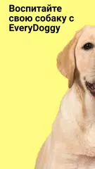 Скачать Дрессировка и воспитание собак XAPK