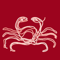 Embraze App