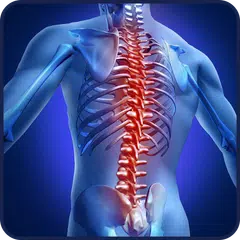 Spine exercises APK download