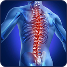 Spine exercises icono