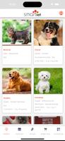 SmartVET โปสเตอร์