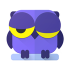 Night Owl-icoon