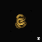 Snake Live Wallpaper icône