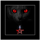 Evil Black Cat Theme APK