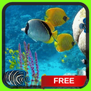 Fish in Water Live Wallpaper Free Animated Theme APK
