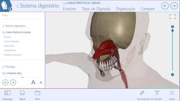 Nervoso e digestório-3D-Grátis screenshot 2