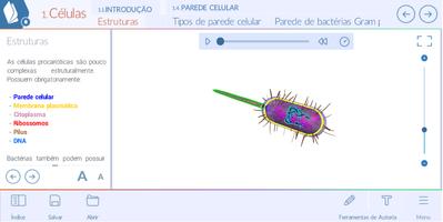 Células постер