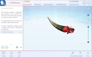 Animais invertebrados ภาพหน้าจอ 3