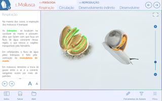 Animais invertebrados ภาพหน้าจอ 1