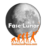 Fase Lunar APK