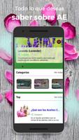 Aceites Esenciales Affiche