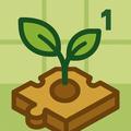 Seedlings - Plant A Real Tree