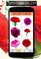 Carnation Flowers Color By Number-Pixel Art 截图 3
