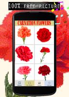 Carnation Flowers Color By Number-Pixel Art 截图 1
