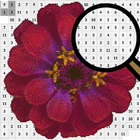 Zinnia Flowers Color By Number-Pixel Art icono