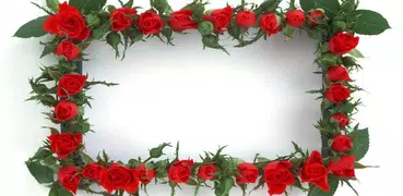 Beautiful Photo Frames