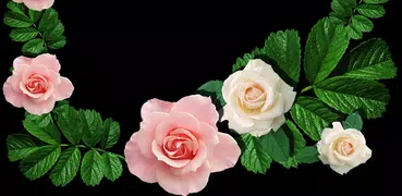Flowers Photo Frames