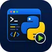 Python Runner
