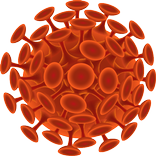 Ewomia Virus
