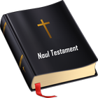 Noul Testament ícone