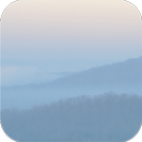 Quieting Anxiety: CBT Tools APK