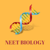 NEET 2021 PRACTICE TESTS icon
