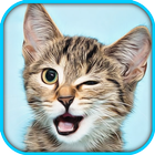 Cat Pet Simulator Online Sim icône