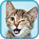 Cat Pet Simulator Online Sim иконка