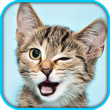 Cat Pet Simulator Online Sim آئیکن