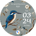 EXD082: Bird Watch Face icon