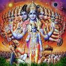 Bhagwat Geeta - 7 Languages APK