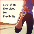 Exercícios de alongamento para flexibilidade APK