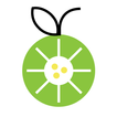 LIME icône