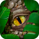 My DinoRanch-APK