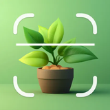 Bloomify - Plant Identifier