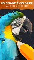 PolyColor Affiche