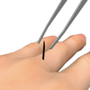 Pull the Hair APK