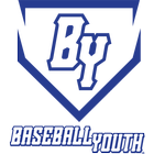 Baseball Youth icône