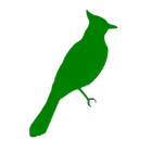 English Idioms icon