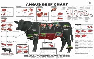 BEEFWAR Plakat