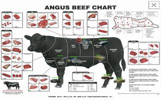 BEEFWAR ภาพหน้าจอ 1