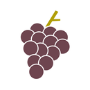 VIGNAIOLI VENETI APK