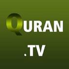 quran recitation (Quran Tv) أيقونة