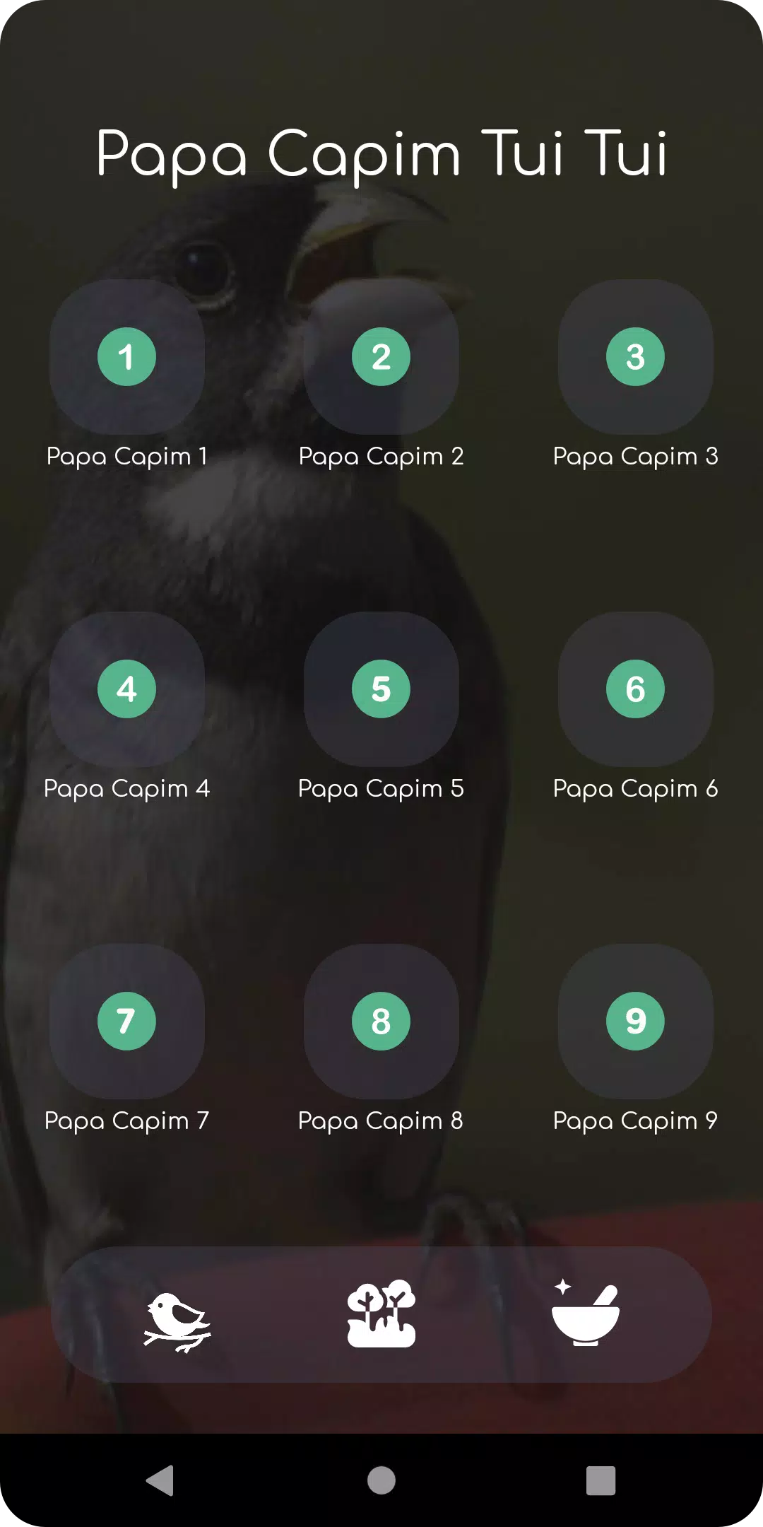 Canto de Papa Capim Tui Tui - Apps on Google Play