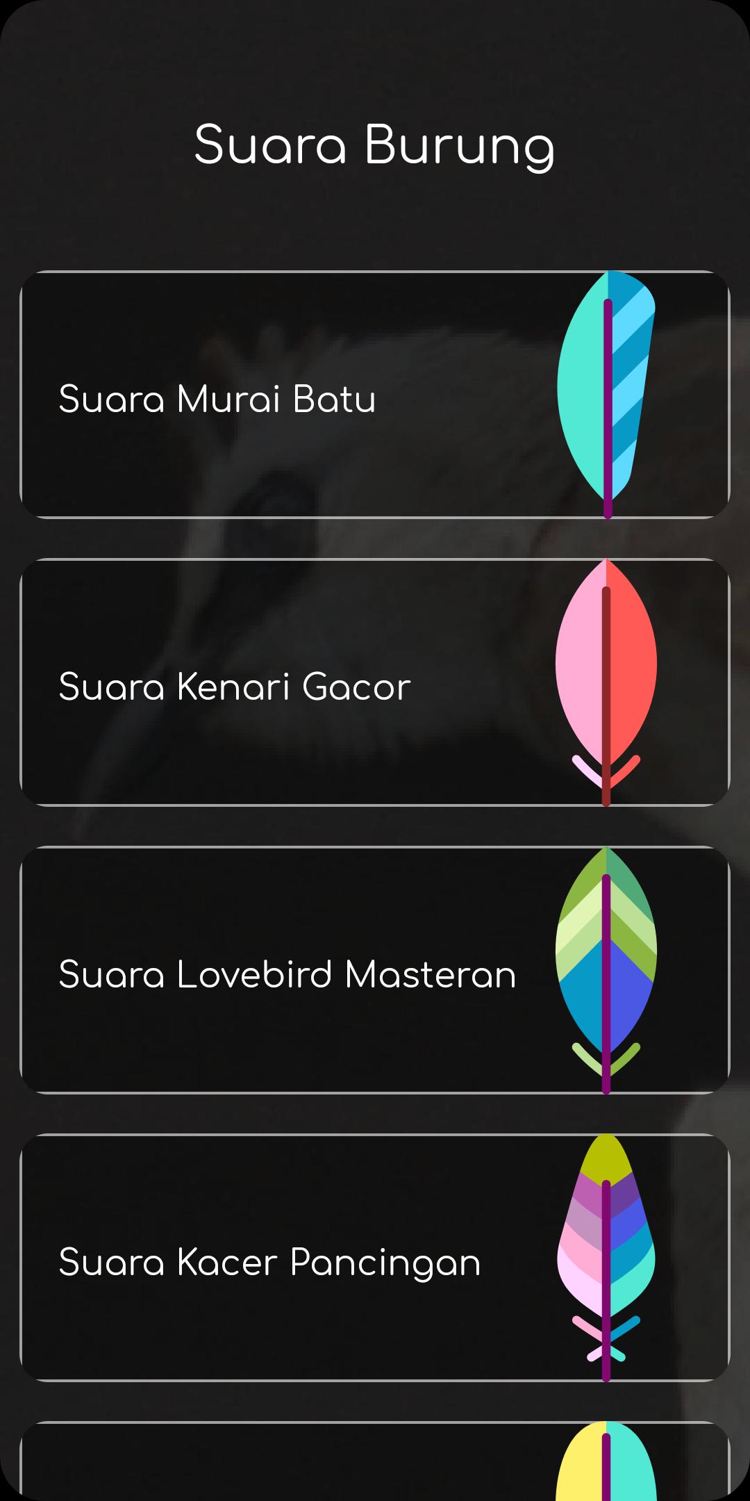 Burung Trucukan Gacor APK for Android Download Burung Trucukan Gacor APK for Android Download